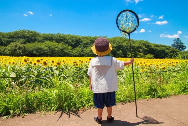 東京で子連れ虫取りができる場所10選｜公園・自然林・林道