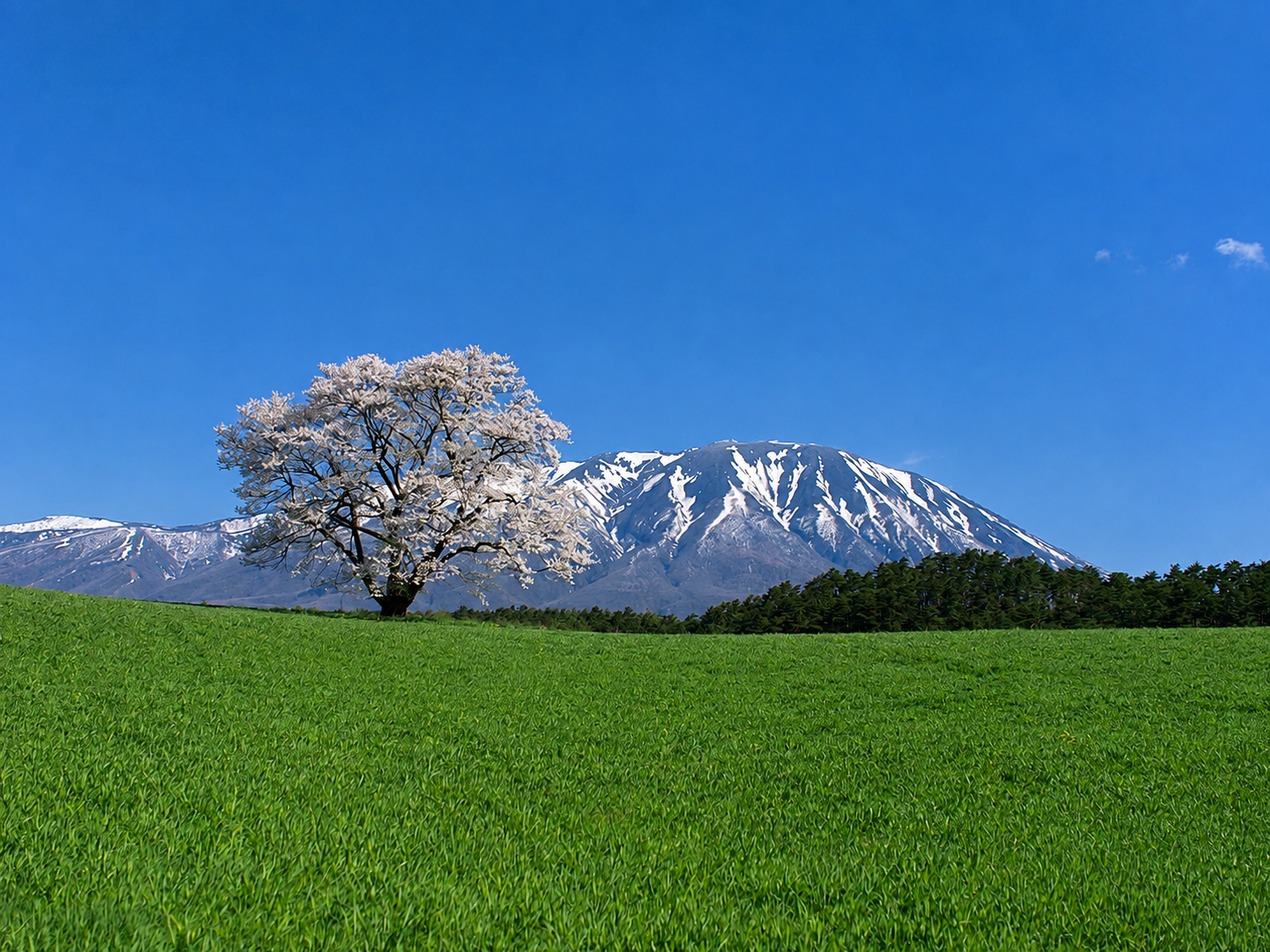 小岩井農場