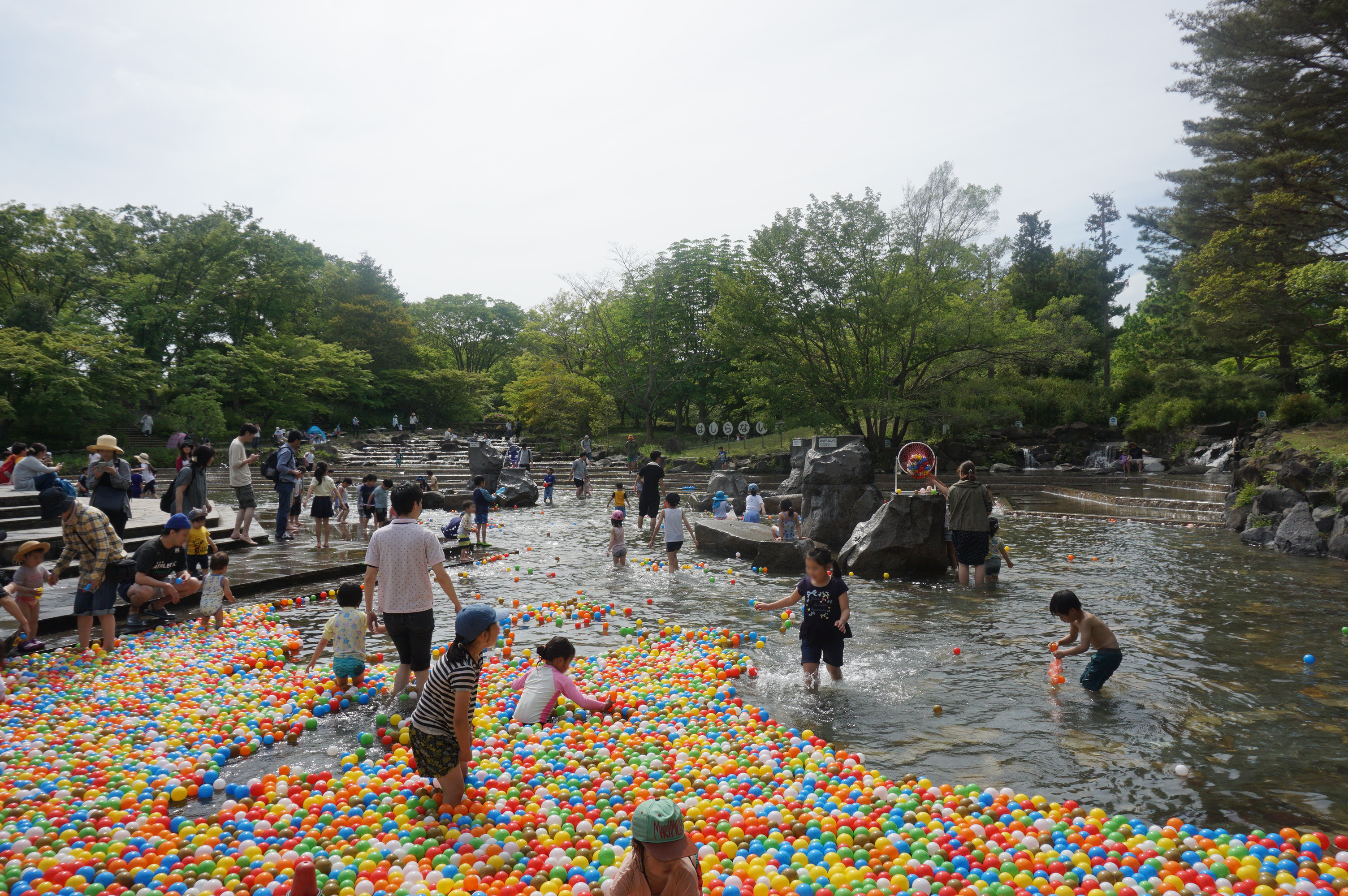 府中市郷土の森博物館の様子