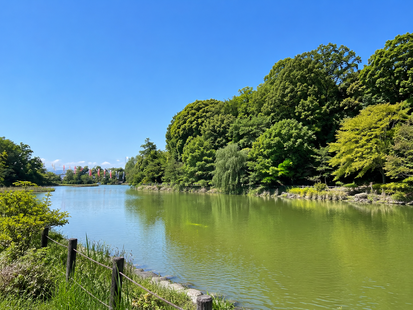善福寺公園