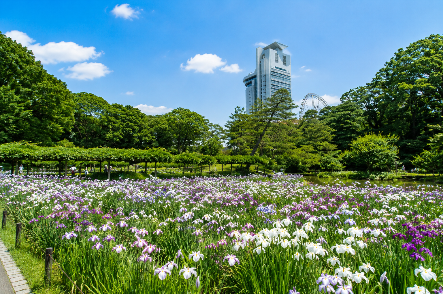小石川後楽園