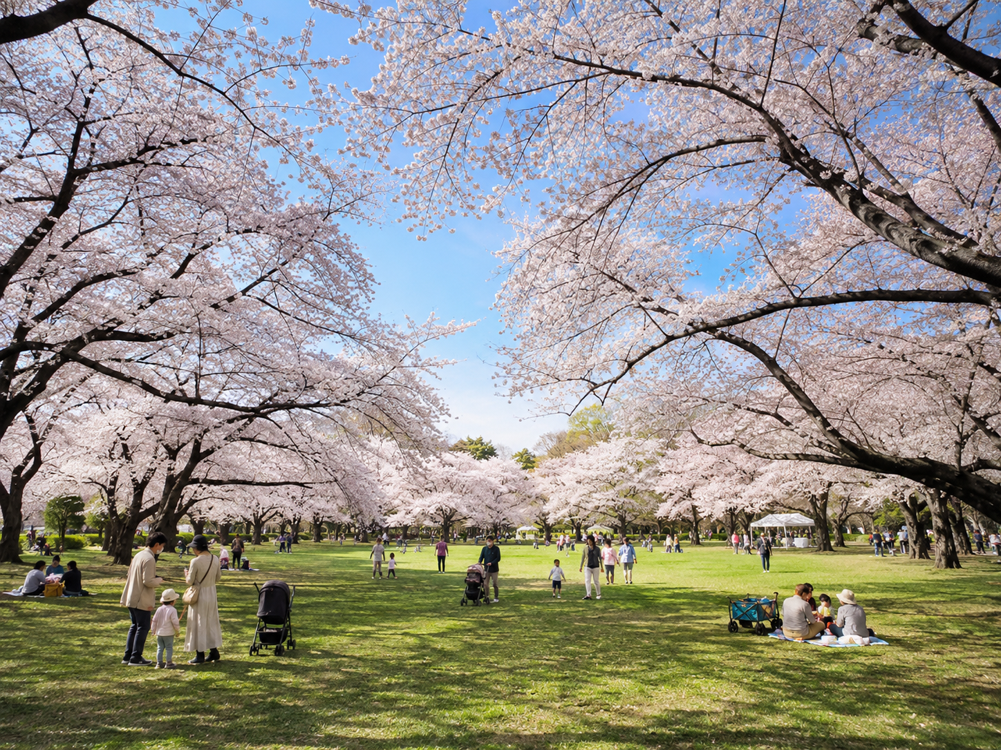 小金井公園