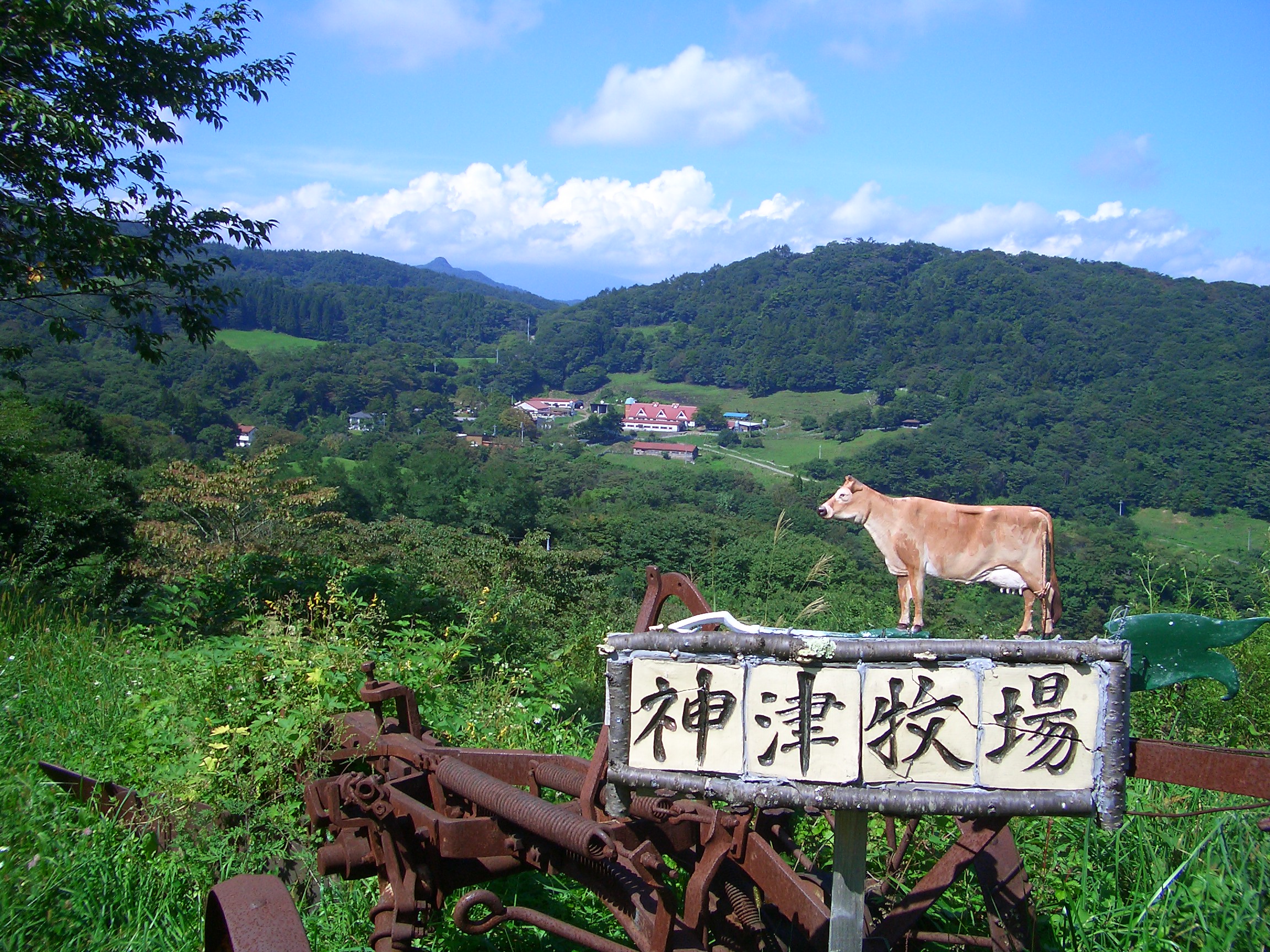 神津牧場