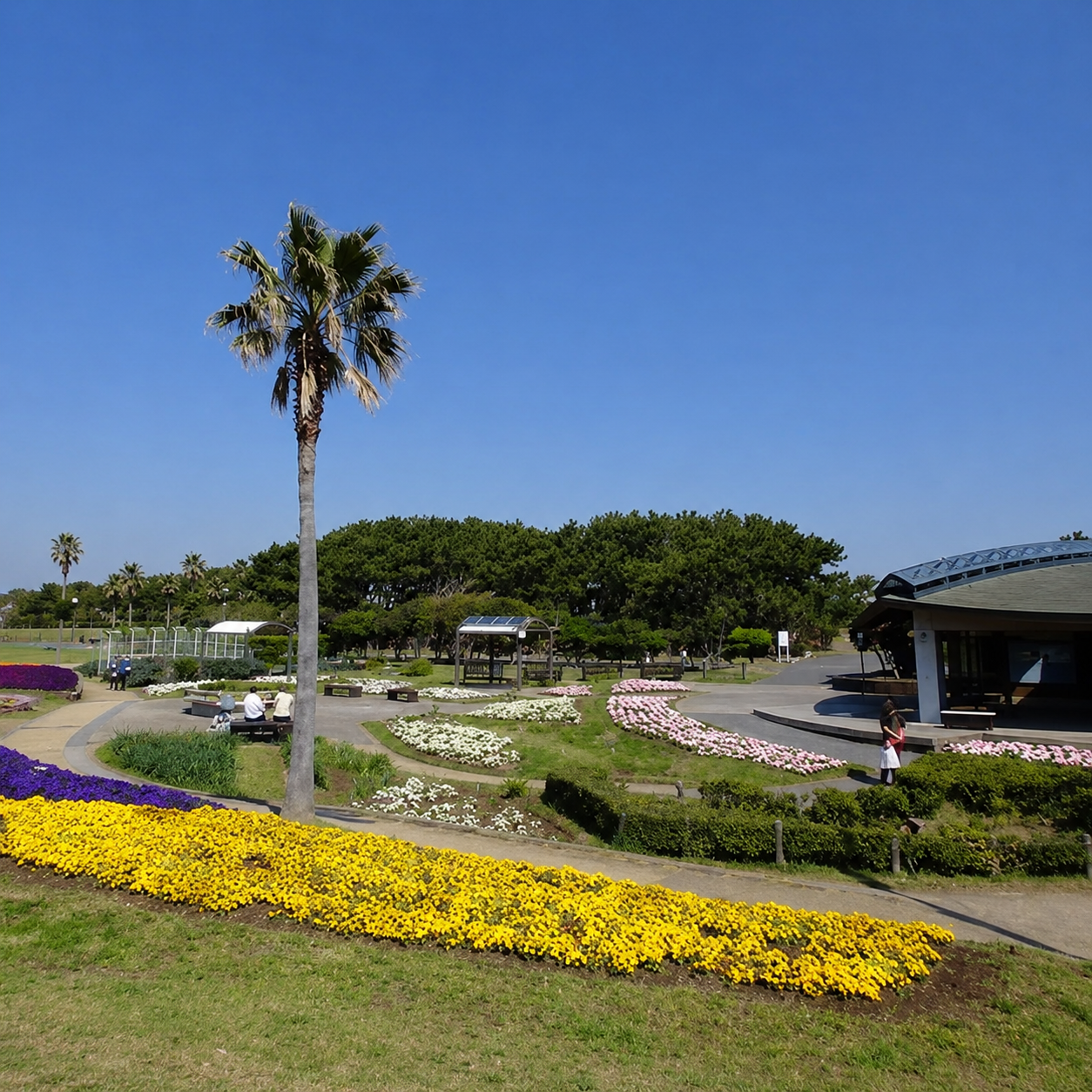 辻堂海浜公園